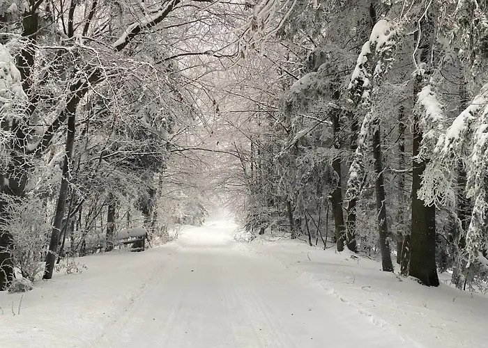 Ferienhaus Pod Kamionna